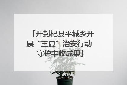 开封杞县平城乡开展“三夏”治安行动 守护丰收成果