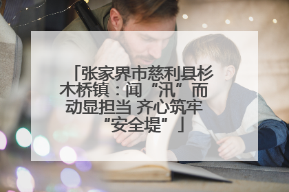 张家界市慈利县杉木桥镇：闻“汛”而动显担当 齐心筑牢“安全堤”