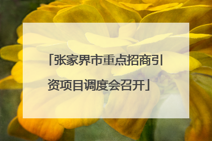 张家界市重点招商引资项目调度会召开