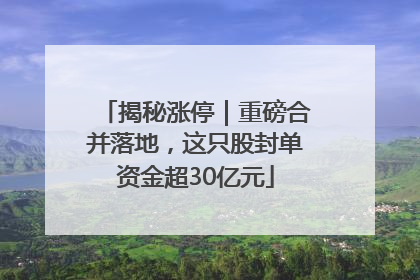 揭秘涨停｜重磅合并落地，这只股封单资金超30亿元