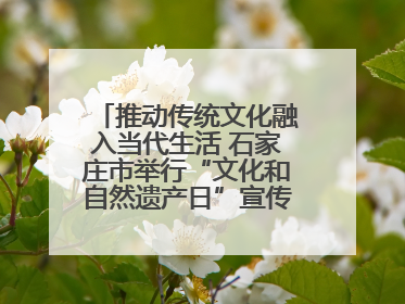 推动传统文化融入当代生活 石家庄市举行“文化和自然遗产日”宣传展示活动