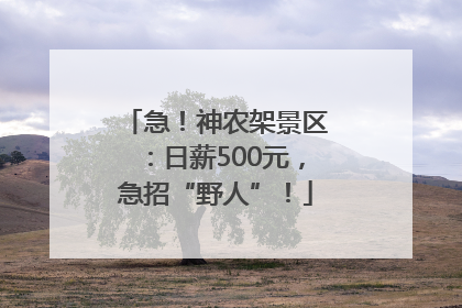急！神农架景区：日薪500元，急招“野人”！