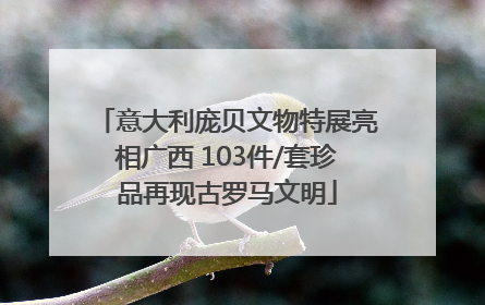 意大利庞贝文物特展亮相广西 103件/套珍品再现古罗马文明