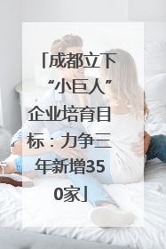 成都立下“小巨人”企业培育目标：力争三年新增350家
