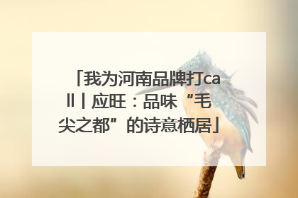 我为河南品牌打call丨应旺：品味“毛尖之都”的诗意栖居