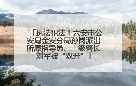 执法犯法！六安市公安局金安分局孙岗派出所原指导员、一级警长刘军被“双开”