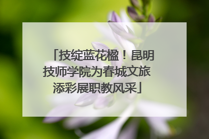 技绽蓝花楹！昆明技师学院为春城文旅添彩展职教风采