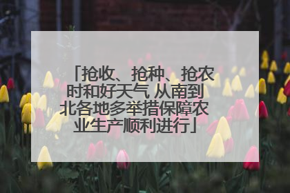 抢收、抢种、抢农时和好天气 从南到北各地多举措保障农业生产顺利进行