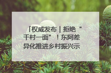 权威发布｜拒绝“千村一面”！东阿差异化推进乡村振兴示范片区建设