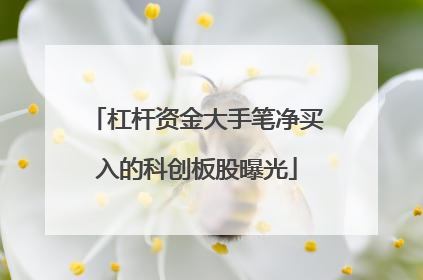 杠杆资金大手笔净买入的科创板股曝光