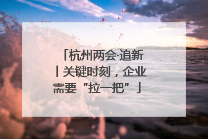 杭州两会·追新丨关键时刻，企业需要“拉一把”