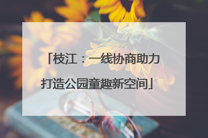 枝江：一线协商助力打造公园童趣新空间