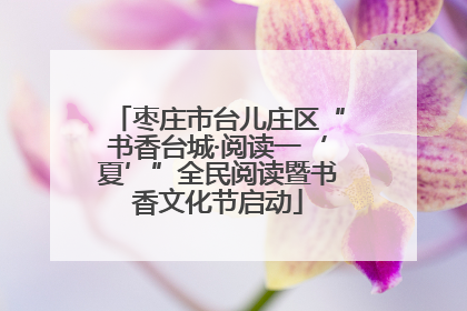 枣庄市台儿庄区“书香台城·阅读一‘夏’”全民阅读暨书香文化节启动