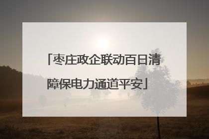 枣庄政企联动百日清障保电力通道平安