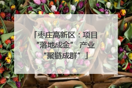 枣庄高新区：项目“落地成金” 产业“聚链成群”