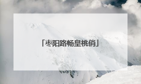 枣阳路畅皇桃俏