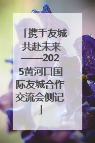 携手友城 共赴未来——2025黄河口国际友城合作交流会侧记