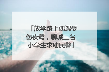 放学路上偶遇受伤夜鹭，聊城三名小学生求助民警