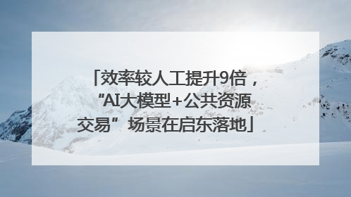 效率较人工提升9倍，“AI大模型+公共资源交易”场景在启东落地