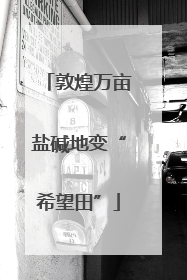 敦煌万亩盐碱地变“希望田”