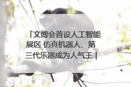 文博会首设人工智能展区 仿真机器人、第三代乐器成为人气王｜文博向“新”