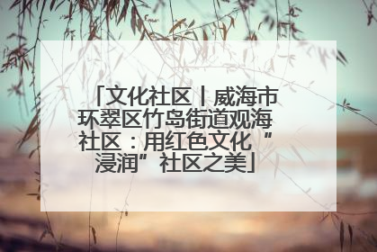 文化社区丨威海市环翠区竹岛街道观海社区：用红色文化“浸润”社区之美