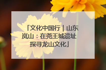 文化中国行｜山东岚山：在尧王城遗址探寻龙山文化