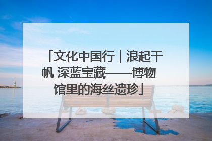 文化中国行｜浪起千帆 深蓝宝藏——博物馆里的海丝遗珍