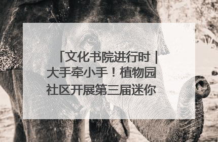 文化书院进行时｜大手牵小手！植物园社区开展第三届迷你马拉松活动