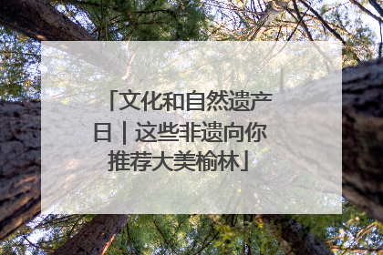 文化和自然遗产日｜这些非遗向你推荐大美榆林