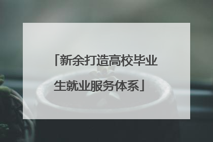 新余打造高校毕业生就业服务体系