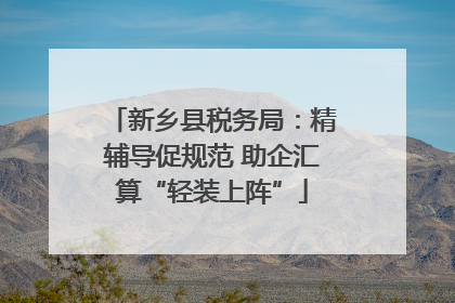 新乡县税务局：精辅导促规范 助企汇算“轻装上阵”