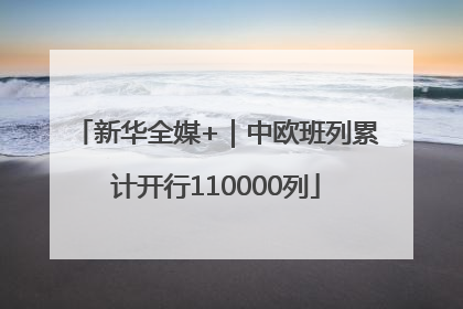 新华全媒+｜中欧班列累计开行110000列