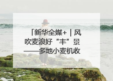 新华全媒+｜风吹麦浪好“丰”景——多地小麦机收一线见闻