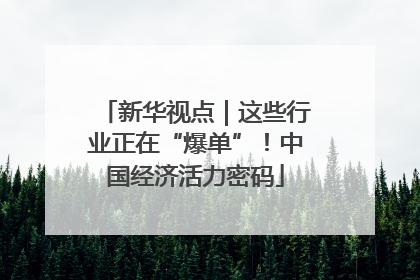 新华视点｜这些行业正在“爆单”！中国经济活力密码