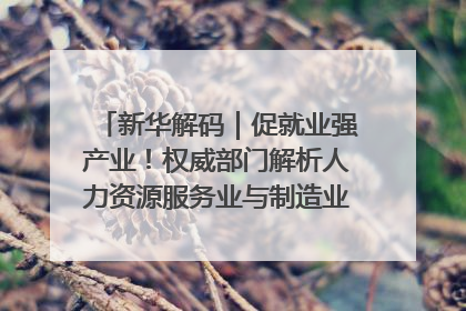 新华解码｜促就业强产业！权威部门解析人力资源服务业与制造业融合发展试点