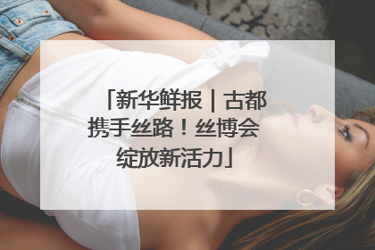 新华鲜报｜古都携手丝路！丝博会绽放新活力