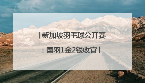新加坡羽毛球公开赛：国羽1金2银收官