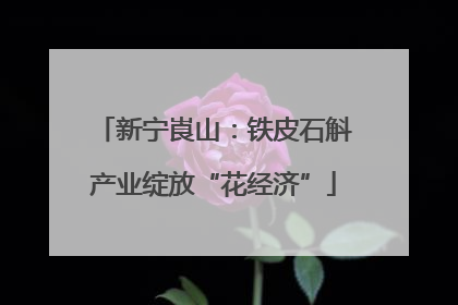 新宁崀山：铁皮石斛产业绽放“花经济”