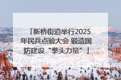 新桥街道举行2025年民兵点验大会 锻造国防建设“拳头力量”