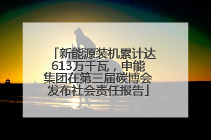 新能源装机累计达613万千瓦，申能集团在第三届碳博会发布社会责任报告