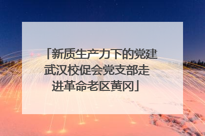 新质生产力下的党建 武汉校促会党支部走进革命老区黄冈
