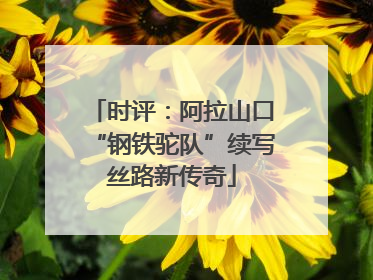 时评：阿拉山口“钢铁驼队”续写丝路新传奇
