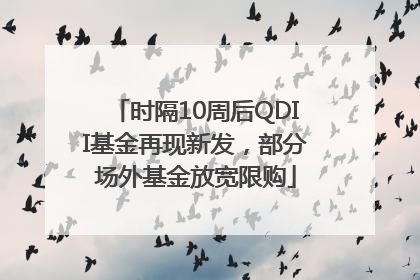 时隔10周后QDII基金再现新发，部分场外基金放宽限购