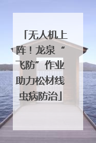 无人机上阵！龙泉“飞防”作业助力松材线虫病防治