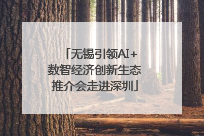 无锡引领AI+数智经济创新生态推介会走进深圳
