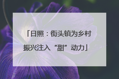 日照：街头镇为乡村振兴注入“甜”动力