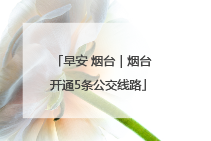 早安 烟台｜烟台开通5条公交线路