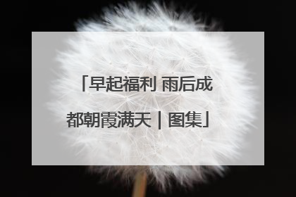 早起福利 雨后成都朝霞满天｜图集