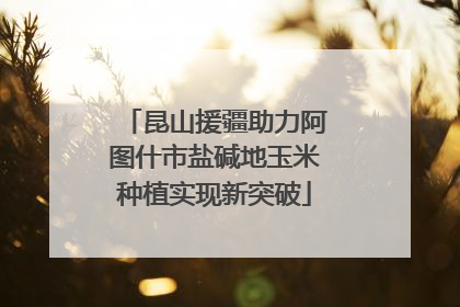 昆山援疆助力阿图什市盐碱地玉米种植实现新突破